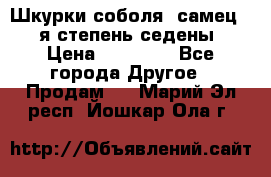 Шкурки соболя (самец) 1-я степень седены › Цена ­ 12 000 - Все города Другое » Продам   . Марий Эл респ.,Йошкар-Ола г.